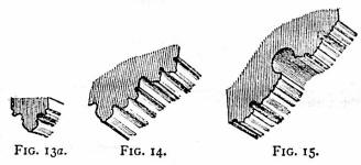 Molding - Early English style, Decorated Period, Perpendicular Period