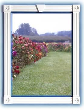 easyTrim window with 4 rosettes and keystone